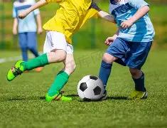 库库雷利亚,虽进球后略,显松散,世界杯投注,2026世界杯,投注技巧,平台推荐,最新赔率