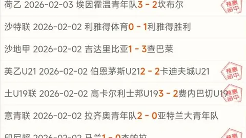 丹麥選擇馬特奧利：凱爾特精英加盟助陣2025歐洲杯！